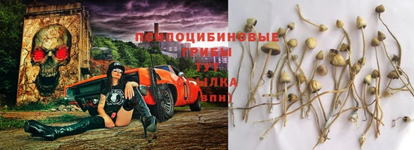 не бодяженный Армянск