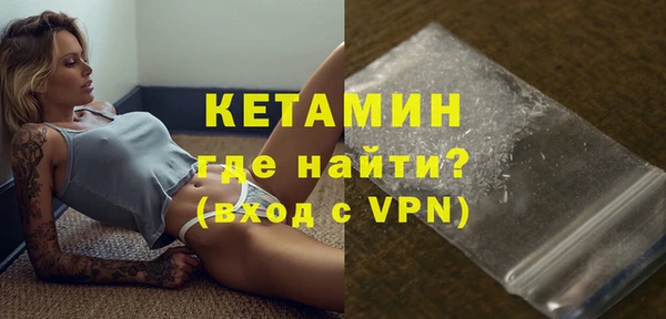 гашик Болотное