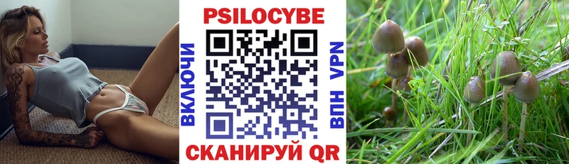 где купить наркоту  Грязи  Псилоцибиновые грибы прущие грибы 
